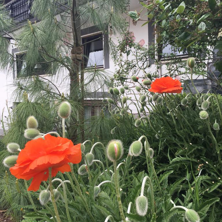 Haus Sonnenschein Apartamento Mespelbrunn Exterior foto